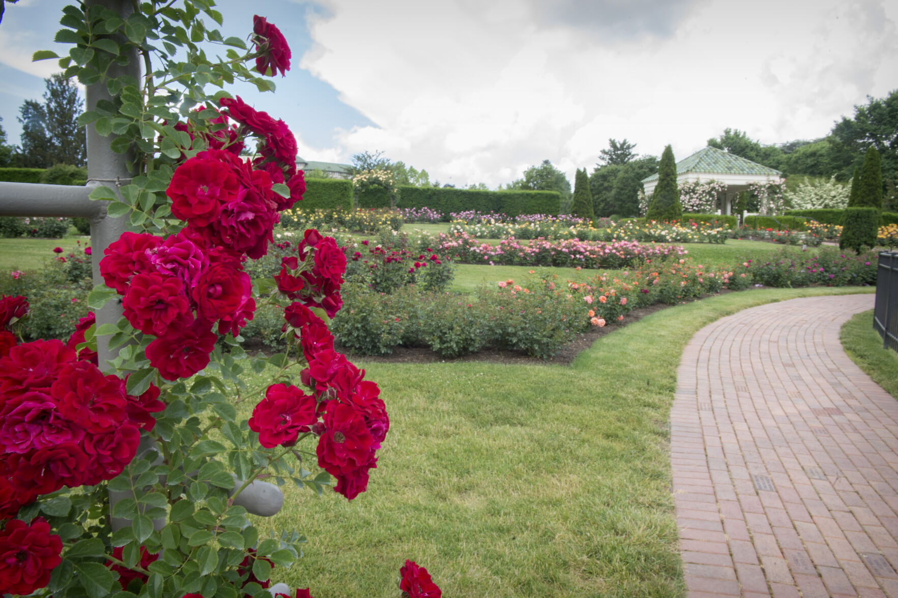 Hershey Gardens roses